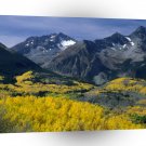 Park San Juan Ains Colorado A1 XLarge Canvas