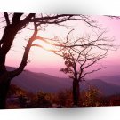 Park Shenandoah Virginia A1 XLarge Canvas