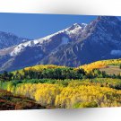 Park Sneffels Uncompahgre Forest Colorado A1 XLarge Canvas