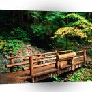 Park Sol Duc Falls Trail Olympic A1 XLarge Canvas