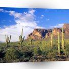 Park Superstition Ains Tonto Forest A1 XLarge Canvas