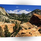 Park Swirling Sandstone Formations Zion Utah A1 XLarge Canvas