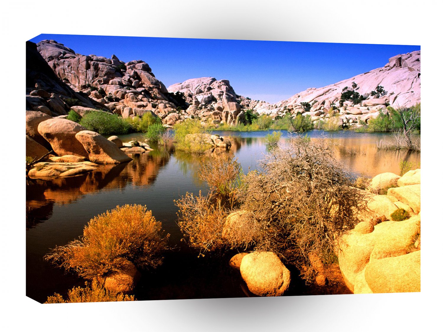 Park Technicolor Terrain Joshua Tree California A1 XLarge Canvas