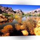 Park Technicolor Terrain Joshua Tree California A1 XLarge Canvas
