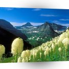 Park The Highline Trail Glacier Montana A1 XLarge Canvas