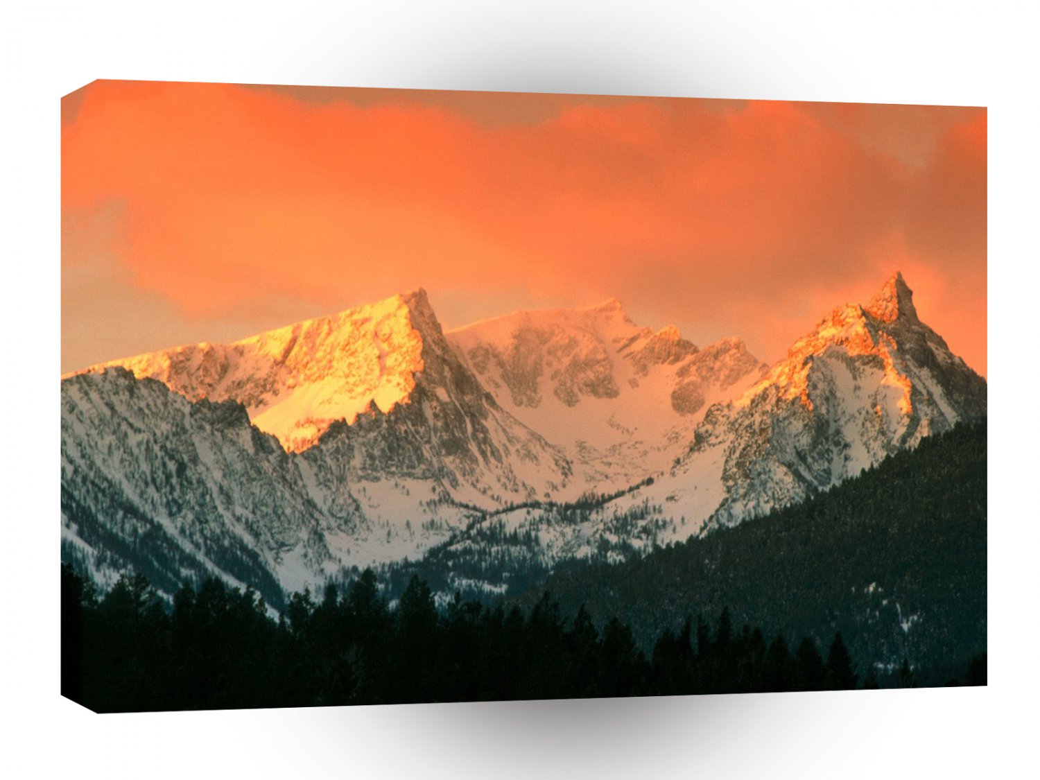 Park Trapper Peak Bitterroot Ains Montana A1 XLarge Canvas