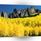 Park Uncompahgre Peak Aspen Colorado A1 XLarge Canvas