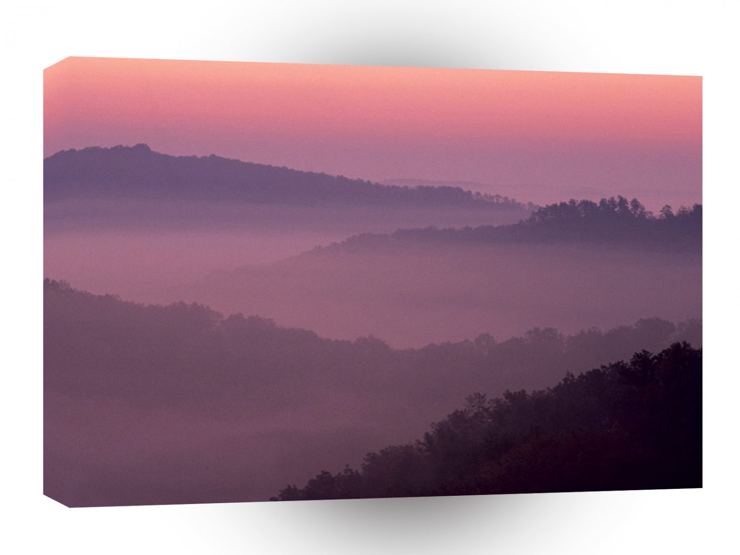 Park Violet Sunrise Daniel Boone Forest Kentucky A1 XLarge Canvas