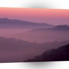 Park Violet Sunrise Daniel Boone Forest Kentucky A1 XLarge Canvas