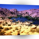 Park Vivid Vista Joshua Tree California A1 XLarge Canvas