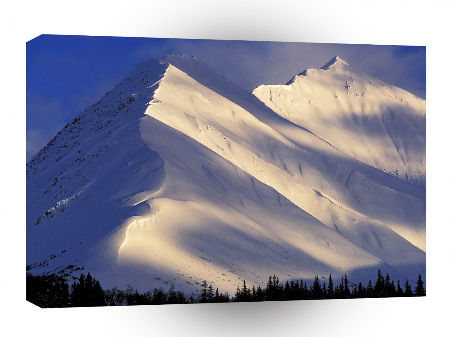 Park Whispering Ain Summit Lake Kenai Alaska A1 XLarge Canvas