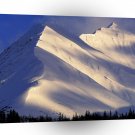 Park Whispering Ain Summit Lake Kenai Alaska A1 XLarge Canvas