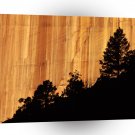 Park Zion Utah A1 XLarge Canvas