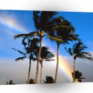 Rainbow Hawaiian A1 XLarge Canvas