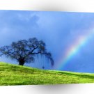 Rainbow Rope Swing Petaluma California A1 XLarge Canvas
