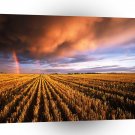 Rainbow Stubble Field Canada A1 XLarge Canvas