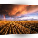 Rainbow Stubble Field Saskatchewan Canada A1 XLarge Canvas