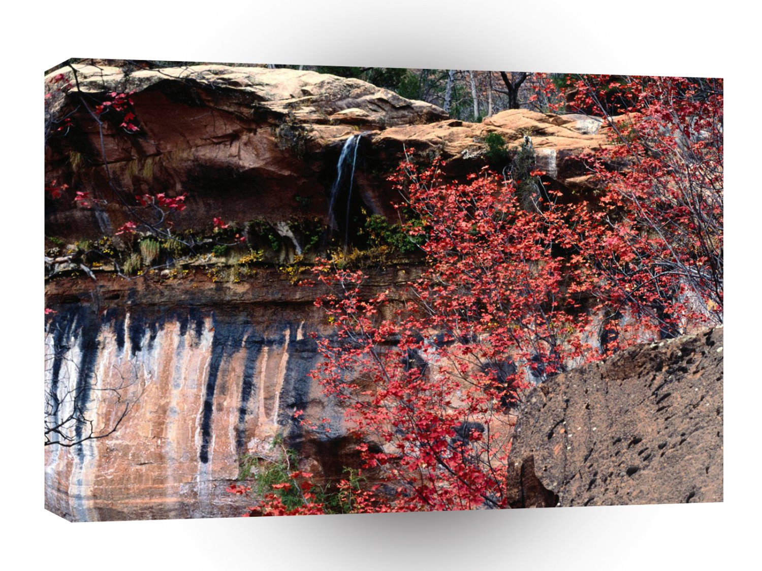 River Calico Emerald Pools A1 XLarge Canvas