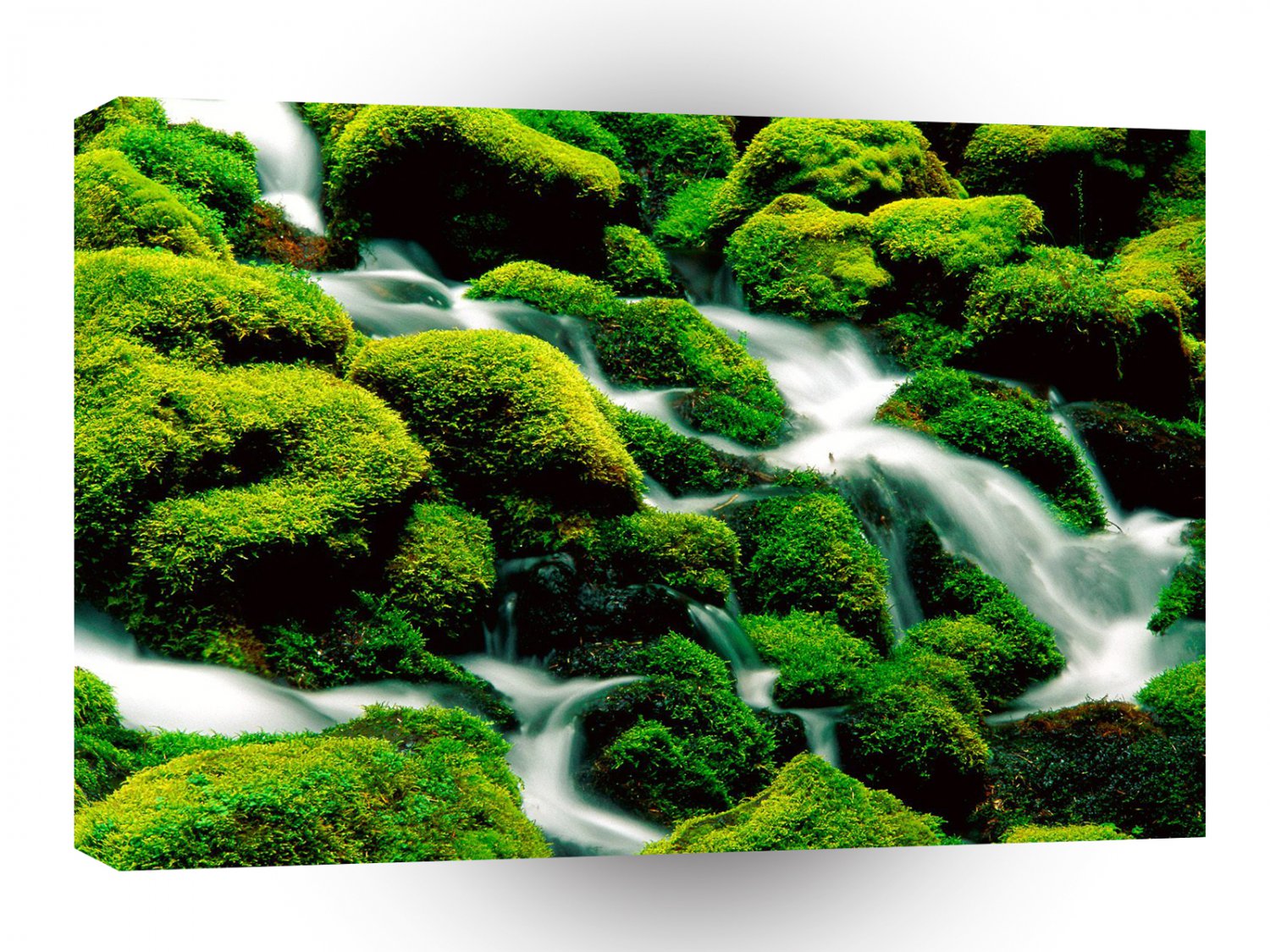 River Clear Falls Umpqua Forest Oregon A1 XLarge Canvas