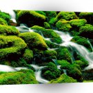 River Clear Falls Umpqua Forest Oregon A1 XLarge Canvas