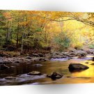 River Golden Smoky Tennessee A1 XLarge Canvas