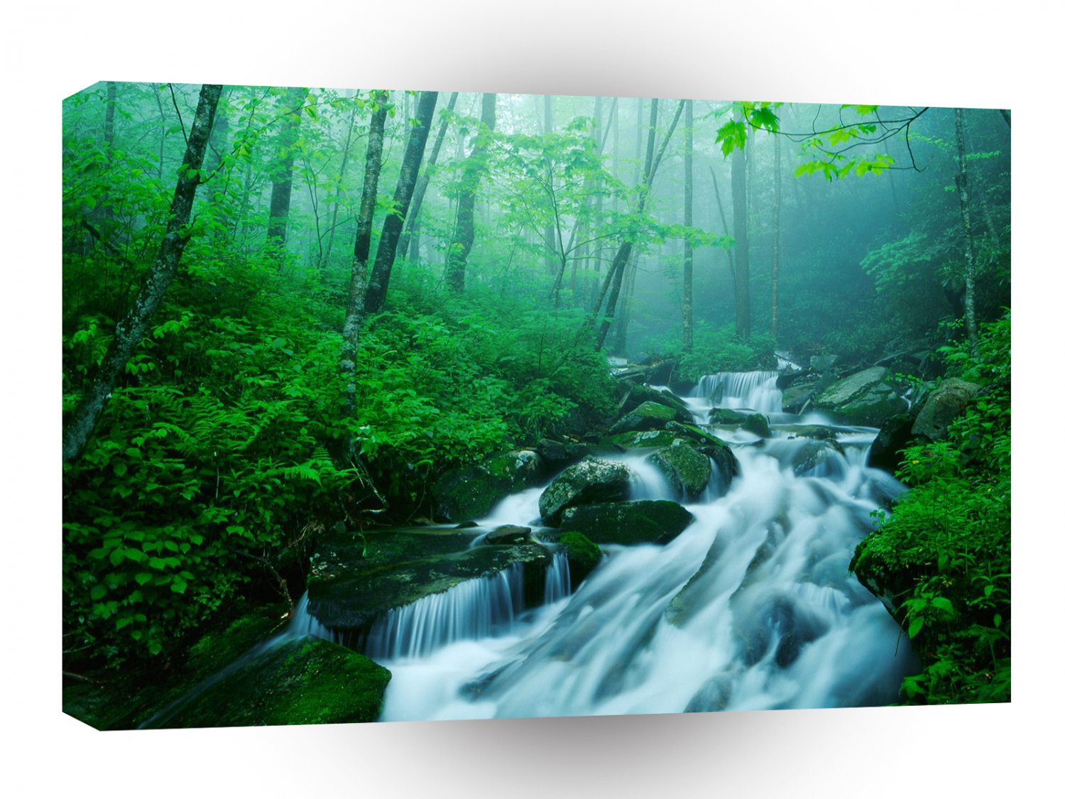 River Kentucky Summer A1 XLarge Canvas