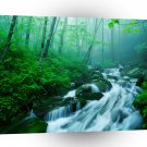 River Kentucky Summer A1 XLarge Canvas
