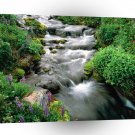 River Mount Adams Yakima Indian Reservation A1 XLarge Canvas