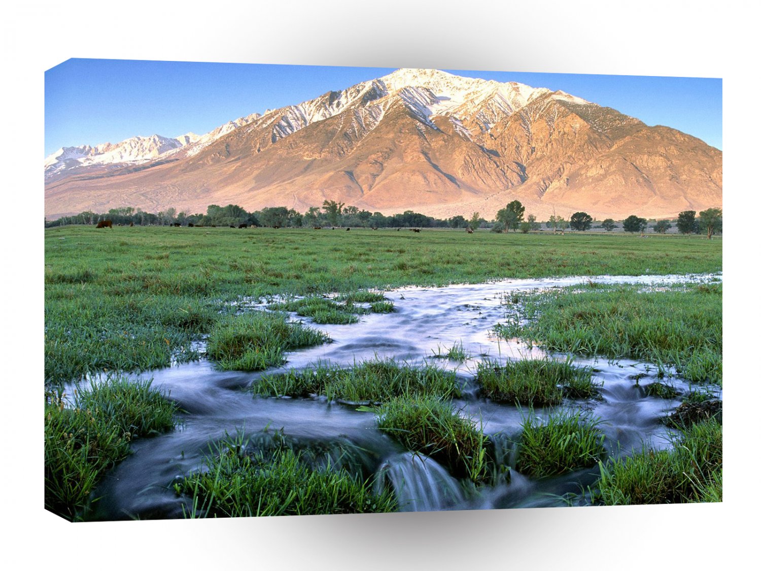 River Mount Tom Owens Valley East Sierra A1 XLarge Canvas