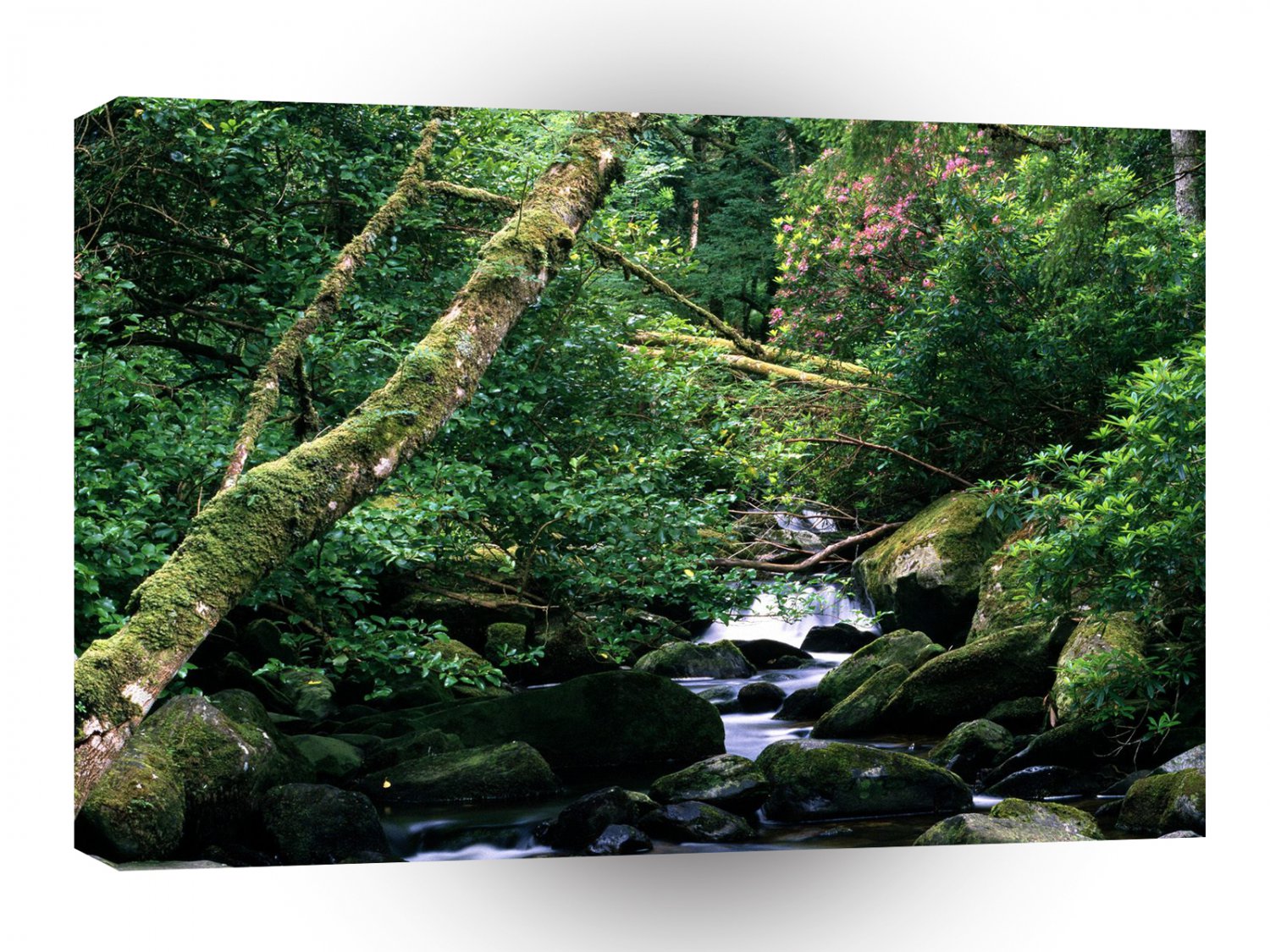 River Owengarriff Killarney Ireland A1 XLarge Canvas