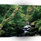 River Owengarriff Killarney Ireland A1 XLarge Canvas
