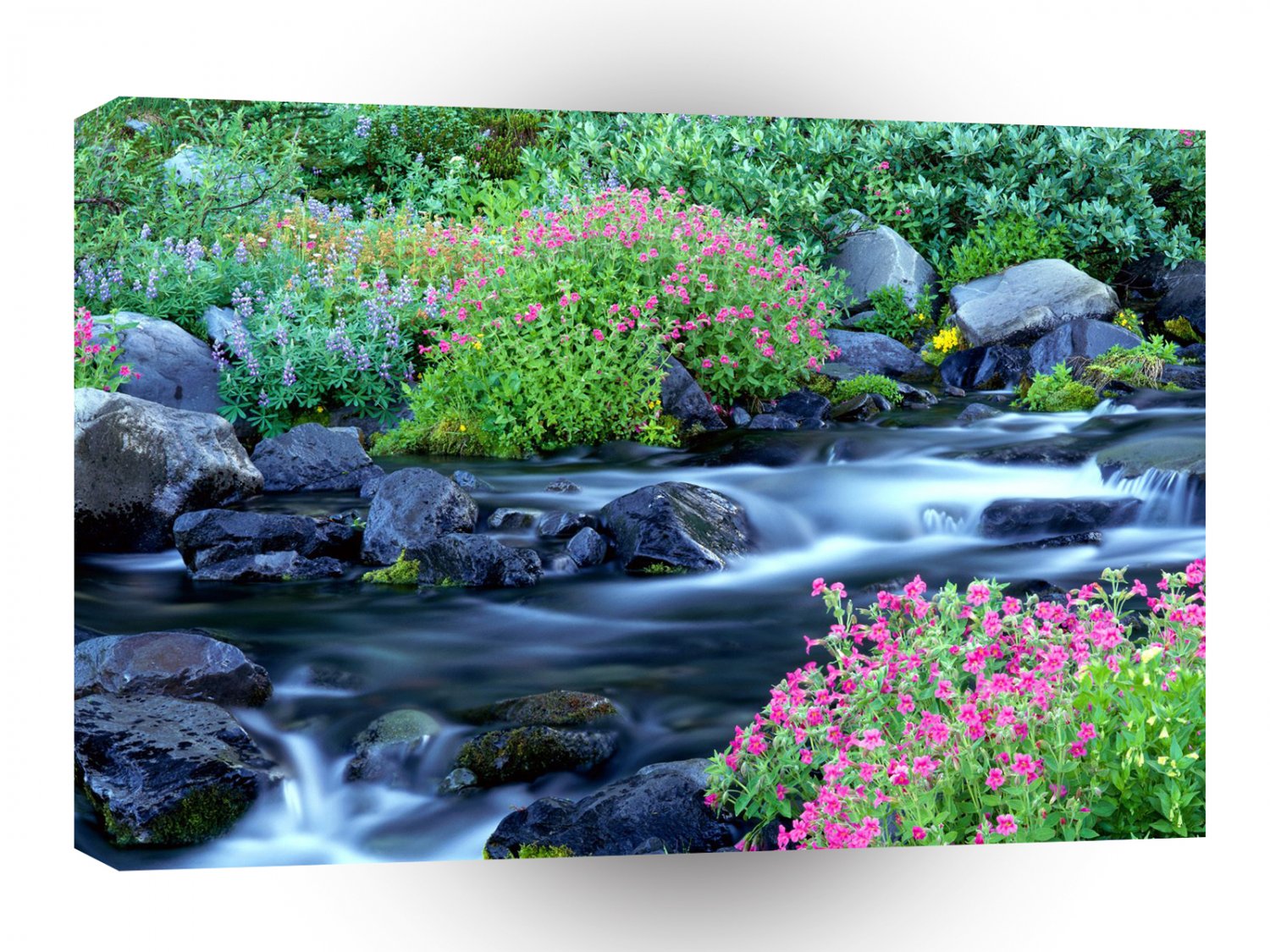 River Paradise Mount Rainier A1 XLarge Canvas