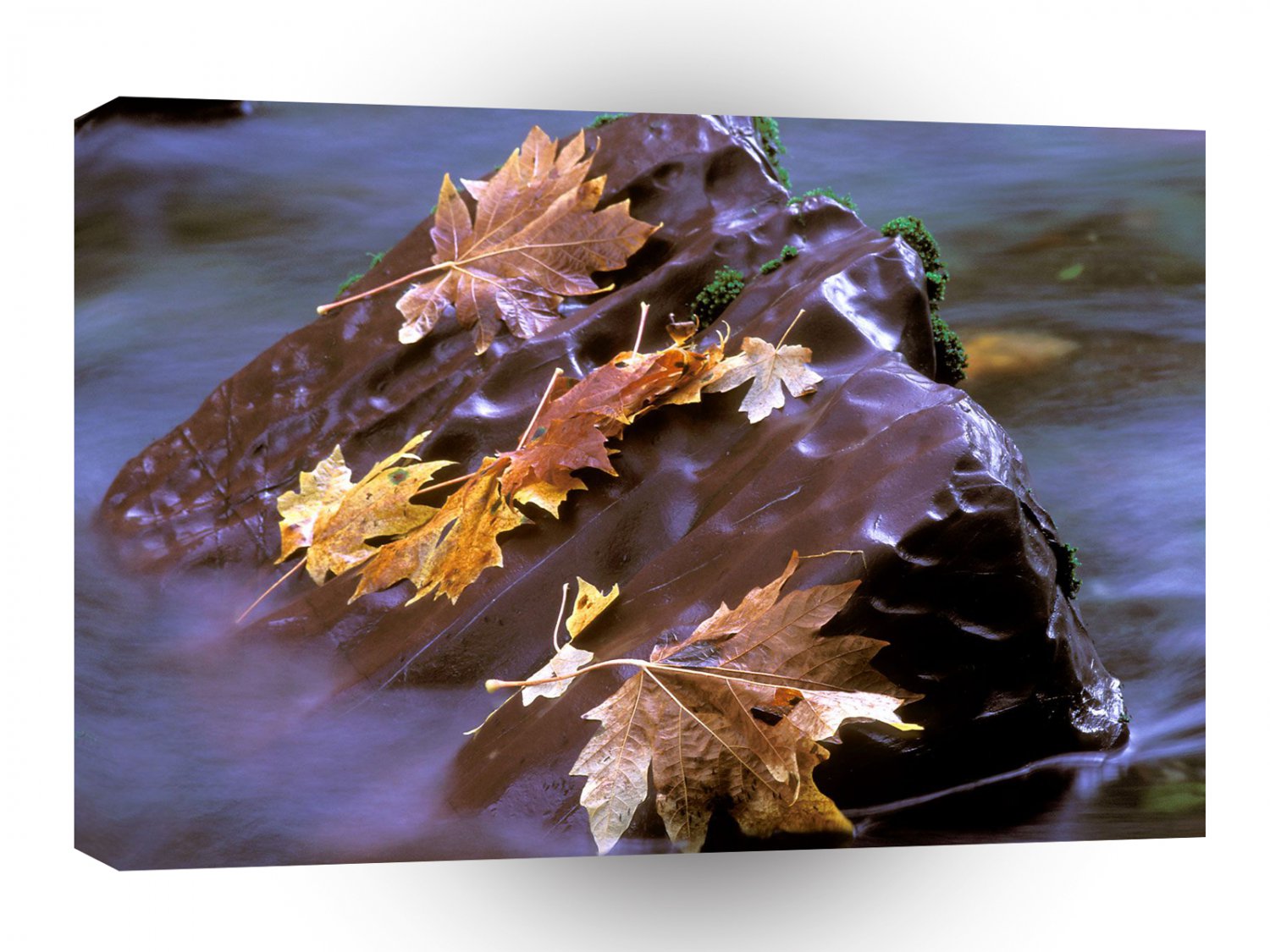 River Red Reef Skokomish Olympic A1 XLarge Canvas