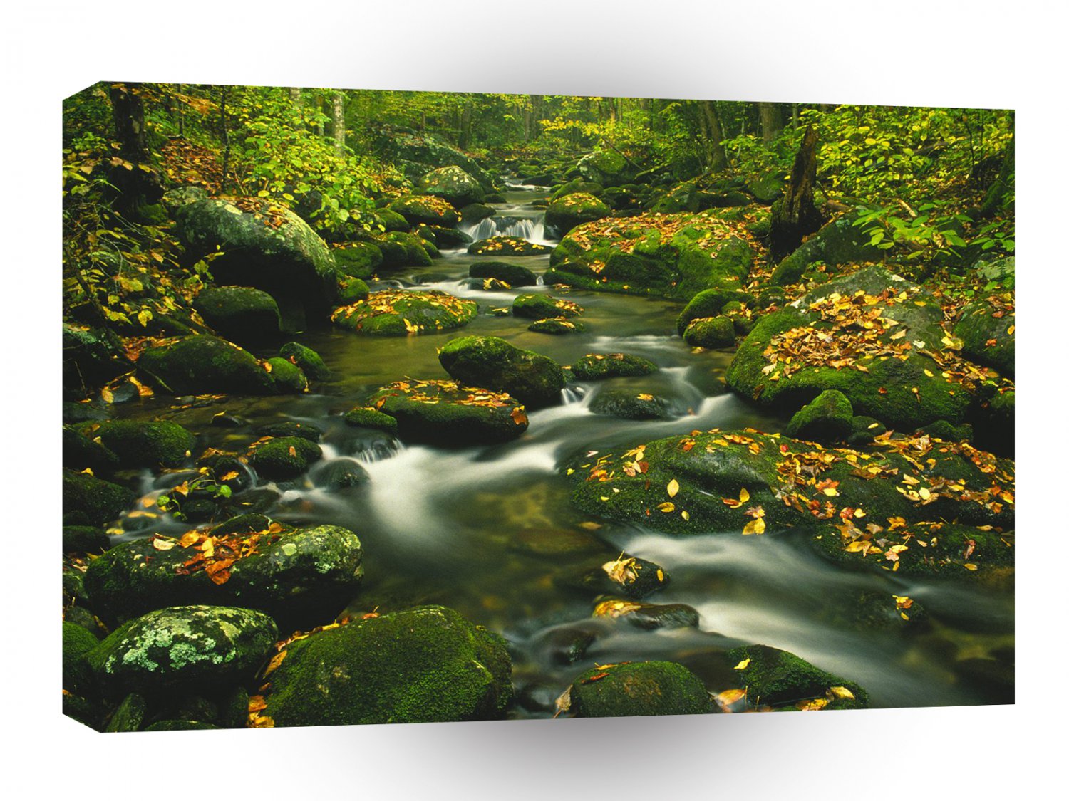 River Roaring Fork Exposure Smoky Tennessee A1 XLarge Canvas