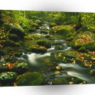 River Roaring Fork Exposure Smoky Tennessee A1 XLarge Canvas