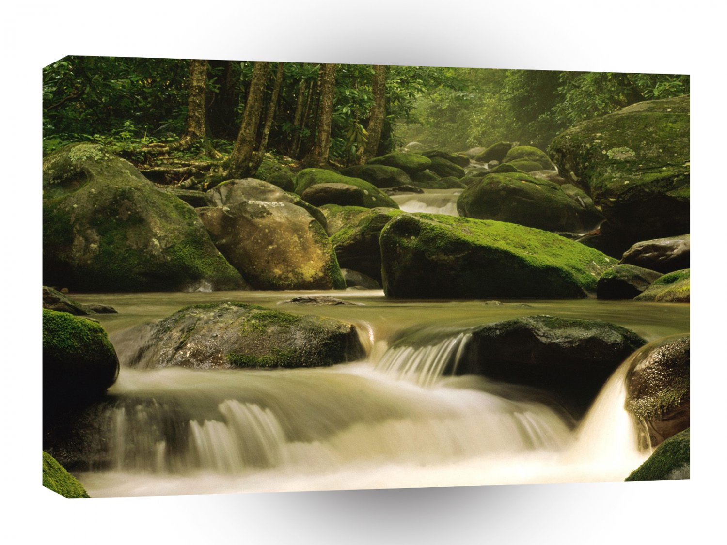 River Roaring Fork Smoky Tennessee A1 XLarge Canvas