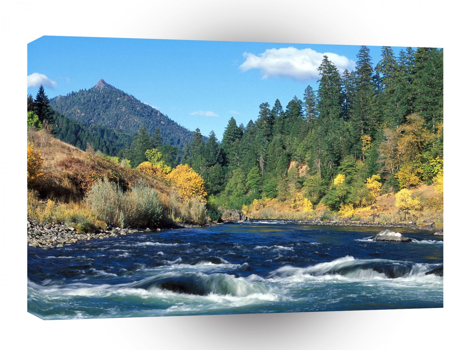 River Rogue Siskiyou Forest Oregon A1 XLarge Canvas
