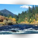 River Rogue Siskiyou Forest Oregon A1 XLarge Canvas