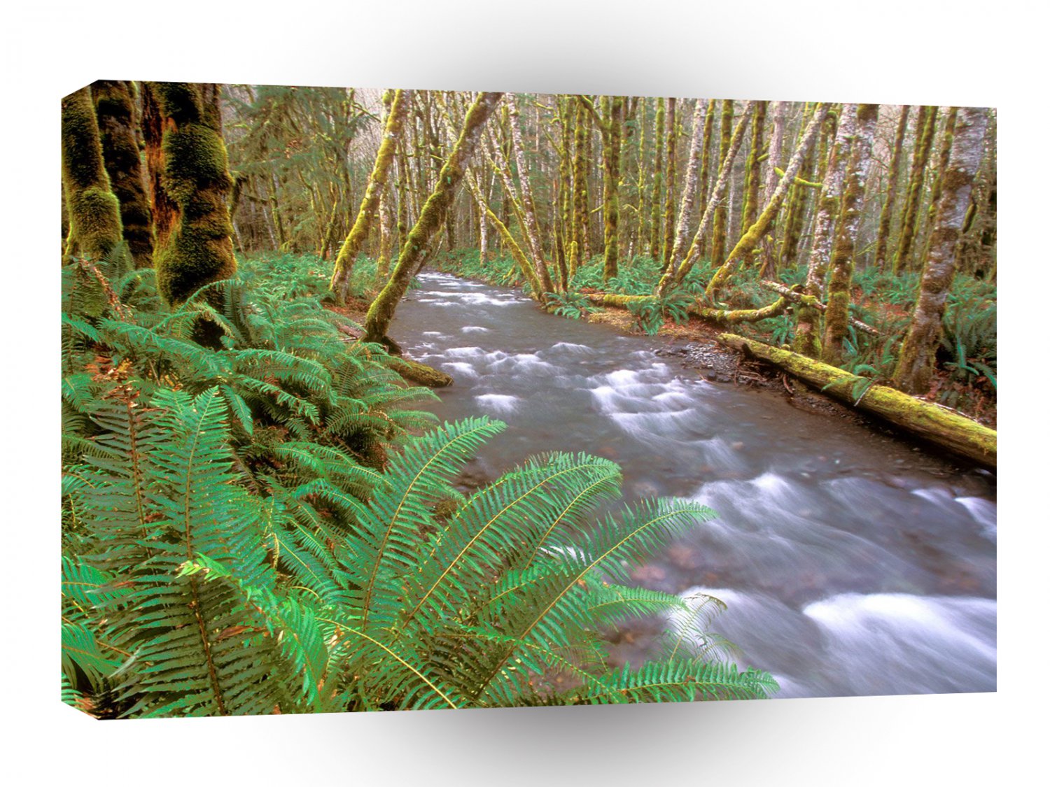 River Running Wild Hughes Olympic A1 XLarge Canvas