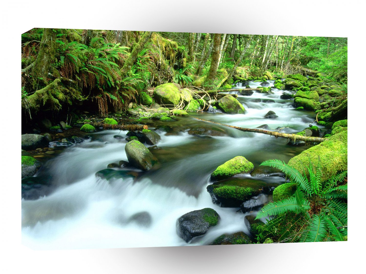 River Runningmount Hood Forest Oregon A1 XLarge Canvas