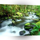 River Runningmount Hood Forest Oregon A1 XLarge Canvas