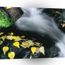 River Rush Mammoth Mountain A1 XLarge Canvas