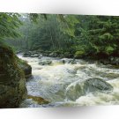 River Rushing Salmon Princess Royal Canada A1 XLarge Canvas