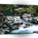 River Spring Siskiyou Forest Oregon A1 XLarge Canvas
