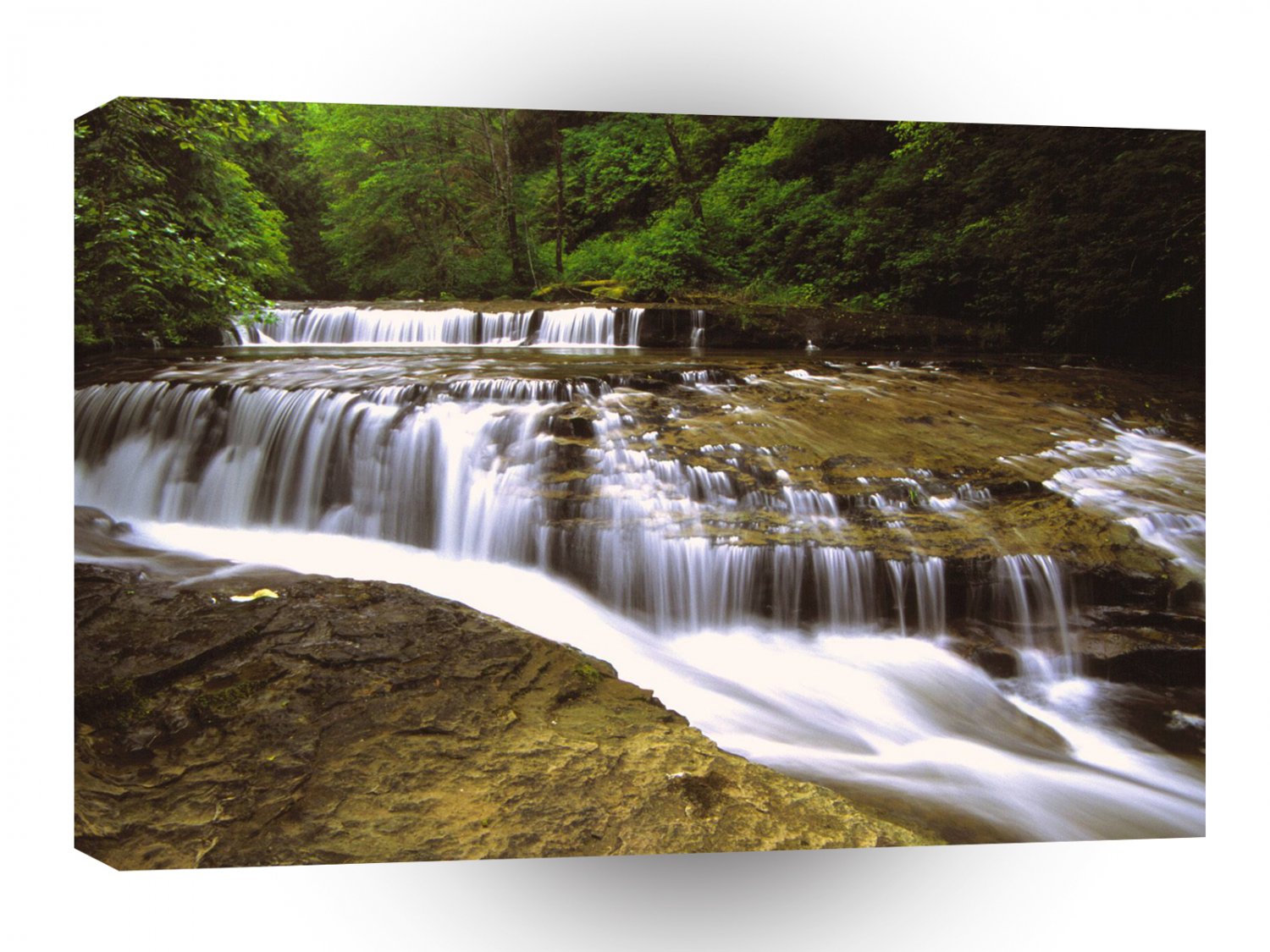 River Sweet Siuslaw Forest Oregon A1 XLarge Canvas