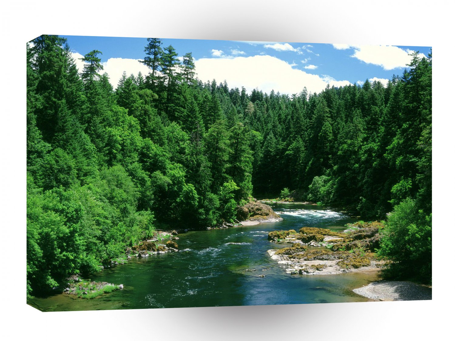 River Umpqua Douglas County Oregon A1 XLarge Canvas