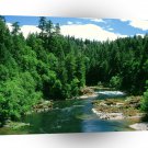 River Umpqua Douglas County Oregon A1 XLarge Canvas