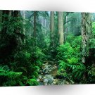River Webb Tamalpais A1 XLarge Canvas