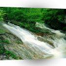 River Wilson Pisgah Forest Carolina A1 XLarge Canvas