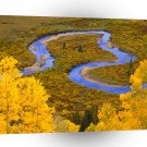 River Winding Gunnison Forest Colorado A1 XLarge Canvas